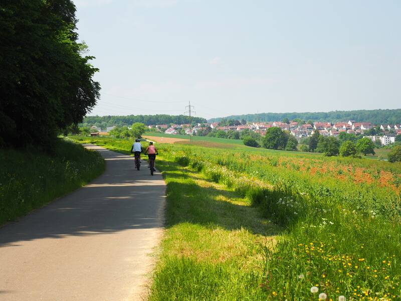 Zwei Radler fahren auf einem asphaltiertem Weg am Waldrand, rechts von ihnen sind Felder.