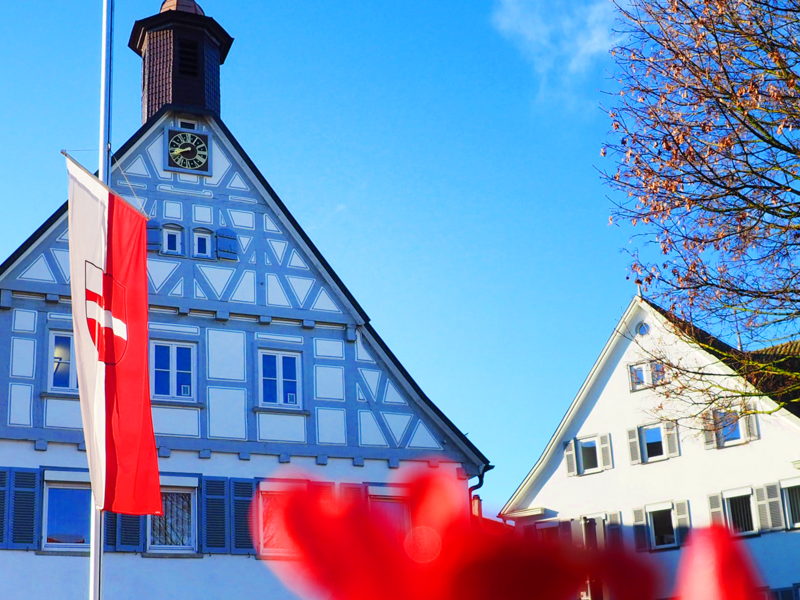 das Rathaus im Frühling mit blühenden Blumen und Beflaggung