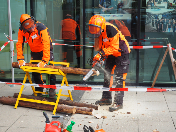 Zwei Menschen tragen orangefarbene Schutzkleidung und Helme. Vor ihnen liegt ein Baumstamm in einem Sägebock. Eine Person hält den Baumstamm, die andere sägt an dessen Spitze mit einer Kettensäge.