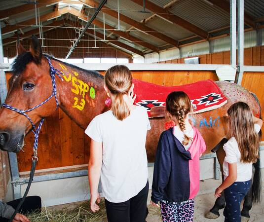 Drei Mädchen sind von hinten zu sehen. Sie stehen vor einem Pferd, das eine rote Pferdedecke hat. Die Kinder bemalen mit ihren Fingern und bunten Farben das Fell des Pferdes.