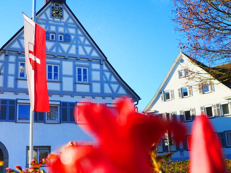 Vor dem Rathaus weht die Stadtflagge, im Vordergrund blühen rote Tulpen.