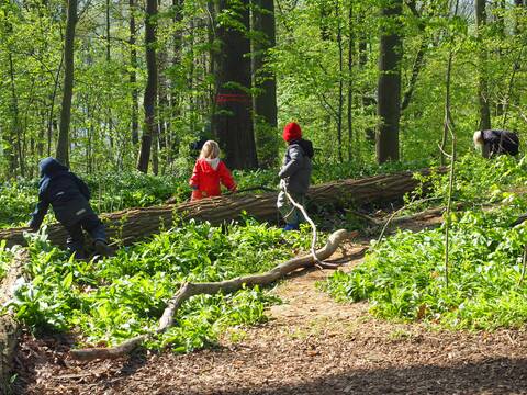 Drei Kinder stehen mit einigem Abstand  voneinander bei einem großen Baumstamm, der auf dem mit Holzspänen und Bärlauch bedecktem Waldboden liegt.