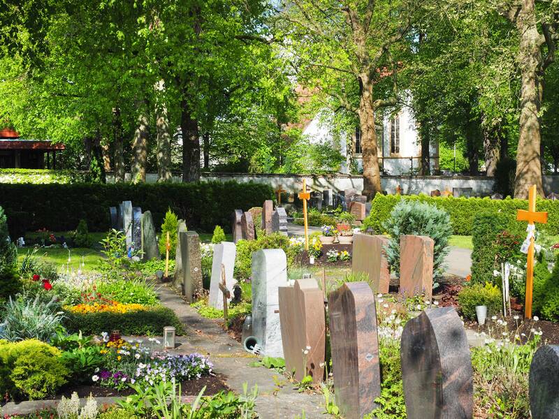Mehrere Grabsteine stehen auf dem Uhinger Friedhof, davor sind auf den Gräbern Pflanzen. Im Hintergrund sind mächtige Bäume und eine Hecke.