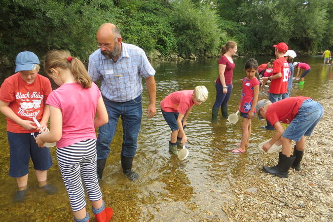 Über 10 Kinder stehen mit einem Mann und einer Frau mit Gummistiefeln in der Fils. Einige Kinder haben Plastiksiebe in der Hand. Sie suchen im Wasser nach Lebewesen. Einige Kinder haben Sammelschalen.  Alle suchen angestrengt und schauen ganz genau. 