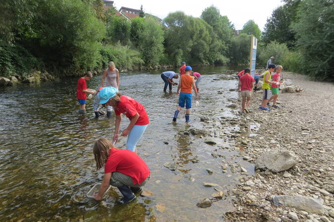 Über 10 Kinder laufen mit Gummistiefeln die Fils entlang, manche sind im Wasser, manche sind am Ufer.  Alle suchen nach Lebewesen. Einige drehen dazu die Steine im Wasser um. 