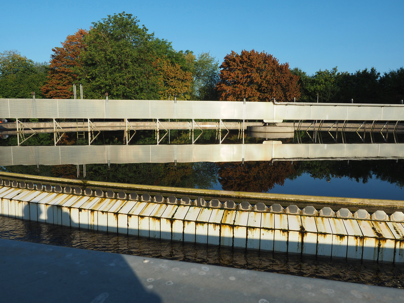 Ein großes Nachklärbecken mit Wasser und im Hintergrund Bäume, deren Laub sich verfärbt.