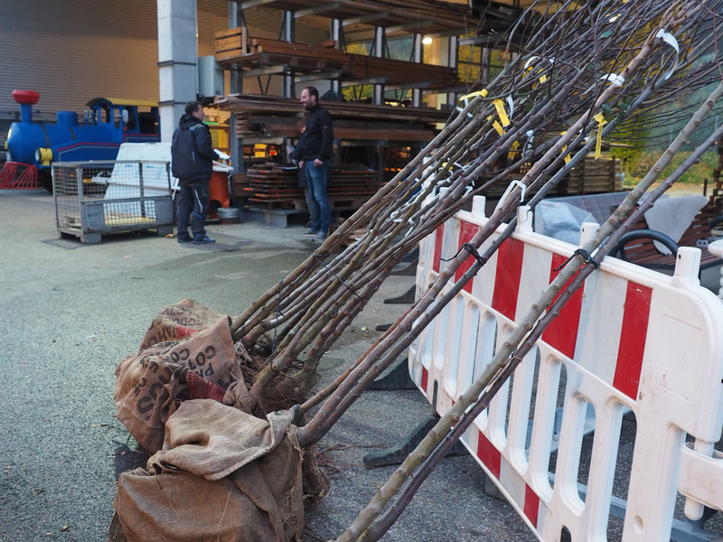 Beim Bauhof der Stadt Uhingen lehnen Streuobstbäume an einem Absperrzaun. 