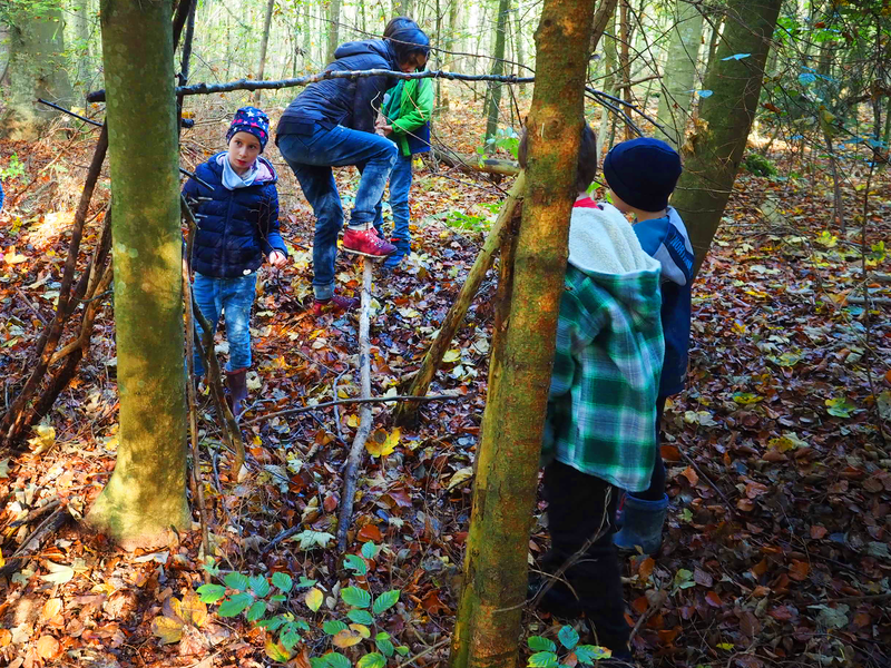 Mehrere Kinder spielen bei der Ferienbetreuung der Stadt Uhingen in einem herbstlichen Wald am Ortsrand von Sparwiesen und bauen aus Zweigen und Ästen ein Lager.