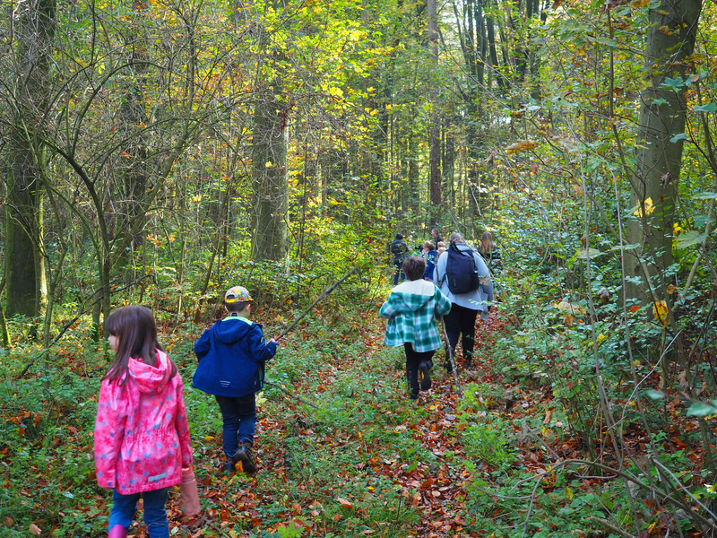 Kinder und Betreuuer der Uhinger Ferienbetreuung in Sparwiesen gehen auf einem schmalen Pfad durch einen herbstlichen Wald, um ein Lager zu errichten.