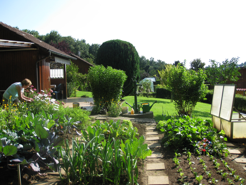 Gartenhütte mit Gemüsebeet