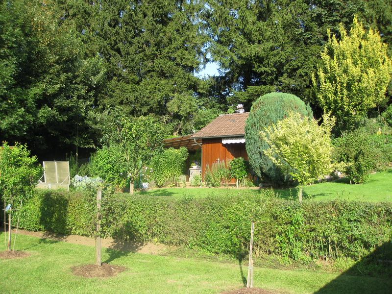 Gartenhütte mit Beeten und Hecke